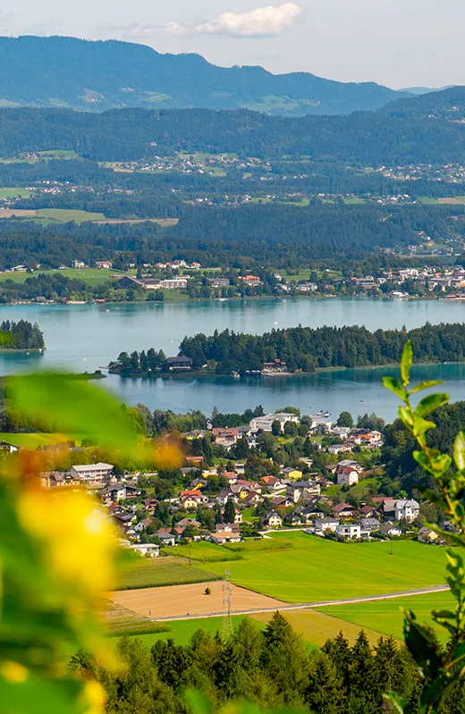 Immobilie Immobilienmakler Wemding